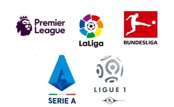 不仅意味着 不仅意味着